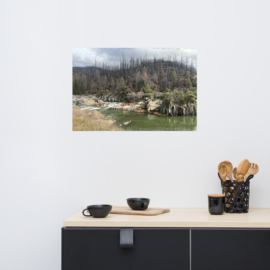 Rippling Creek Forest Poster